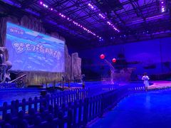 -华夏文旅海洋公园