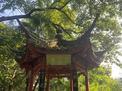 -杭州西湖风景名胜区-三生石