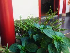 -小陆莲花蟹园农家乐(莲花岛店)