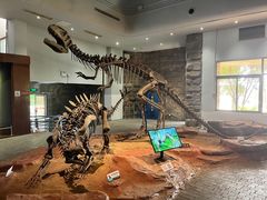-自贡恐龙博物馆
