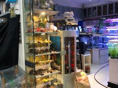 -双季花艺园艺市场(浦东店)