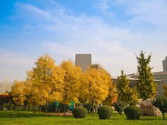 -广西大学(大学东路校区)