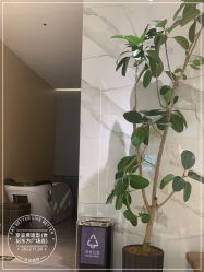 -罗亚帝造型·烫发染发
