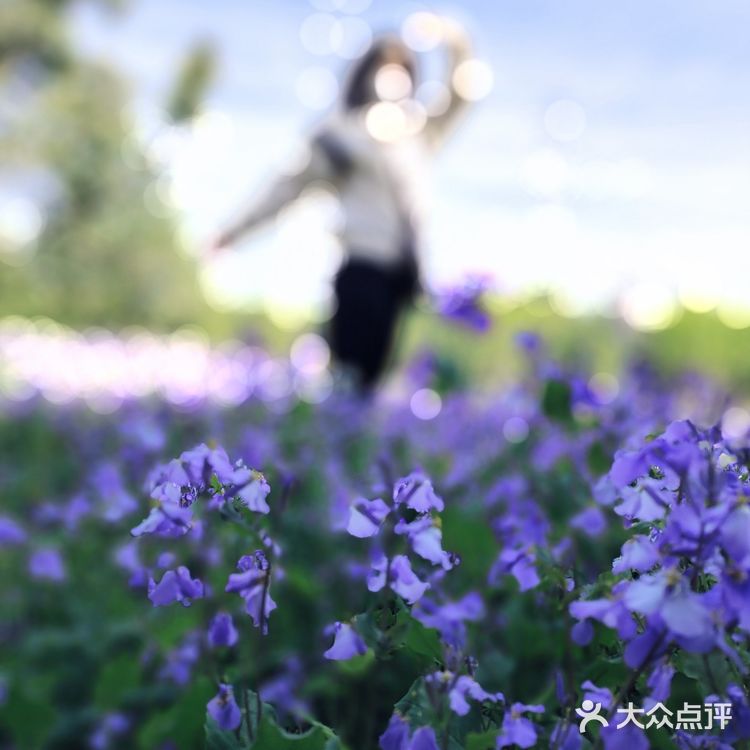 在海拉尔蒙古包品尝地道蒙古美食的独特体验
