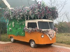 -荷兰花海