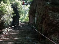 -天女山森林公园