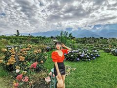 -猫米花园