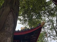 -峨眉山报国寺