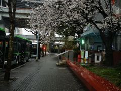 -南浦大桥长途旅游客运站