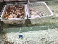 -盒马渔市(平高企业集团·平高广场店)