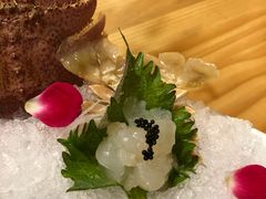 -鲔屋寿喜烧