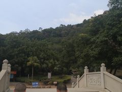 -云洞岩风景区