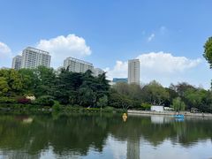 -红梅公园