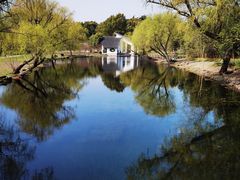 -上海共青森林公园