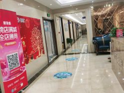 -碧莲盛·不剃发植发