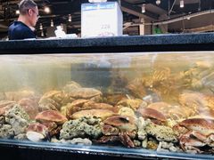 俄罗斯帝王蟹-盒马鲜生(皇庭广场店)