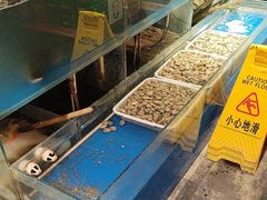 -小俩口烧烤东北菜(双井店)