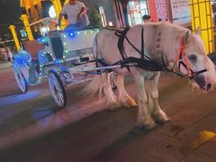 -鼎盛王朝康熙大典实景演出