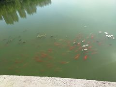 -燕郊植物园