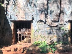 -海南热带野生动植物园
