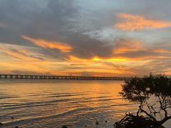 -宝安西湾红树林湿地公园