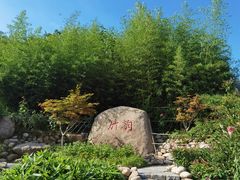 -竹子庵公园