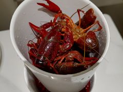 -星伦多自助料理·涮烤一体(江桥万达店)
