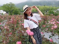 -亚龙湾国际玫瑰谷
