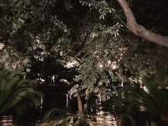 -星巴克(西湖天地店)