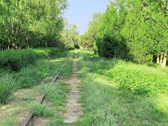 -永定河休闲森林公园