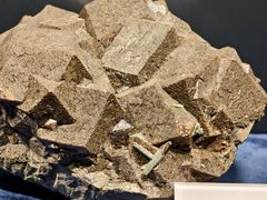 -国家自然博物馆