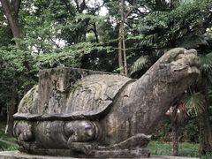 -灵谷景区