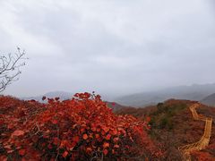 -水峪民俗村