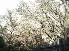 iphone_upload_pic-南京国际会议大酒店