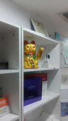 -余祖萍专业经络瘦身