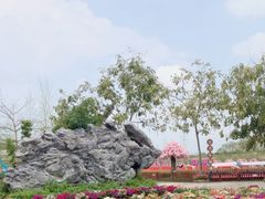 -盈香心动乐园