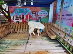 -佟小曼手工茶饼坊(鼓浪屿1店)