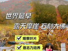 -蒙山大佛景区