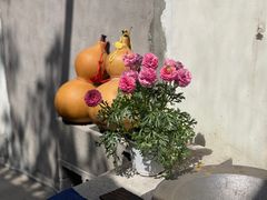 -景迈森林(古华园店)