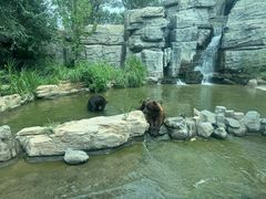 -北京野生动物园