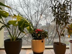 -云之南(八里庄店)