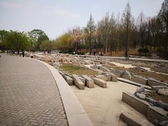 -大望京公园