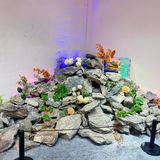 南京看展 | 打卡南京潮流新地标喜玛拉雅购物中心🖤