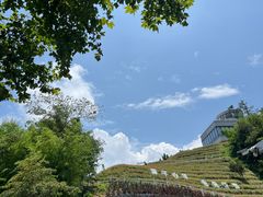 -莫干山风景区