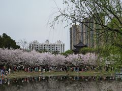 -堤角公园