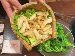 -滇野云南野生菌餐厅(陕西南路店)