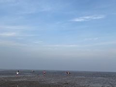 -南汇新城海滩