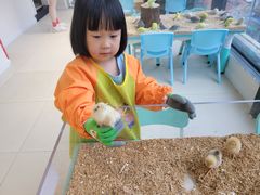 -怪兽屋·羊驼·猫咖·狗咖(俊华广场店)