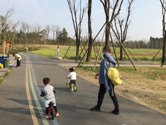 -白鹭湾湿地公园