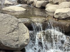 -天津盘山风景名胜区